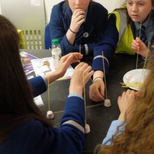 Celebrating National Women In Engineering Day